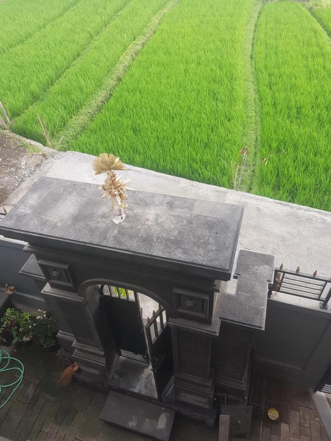 Yogi Homestay 캉구 외부 사진